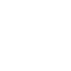 company logo inverse